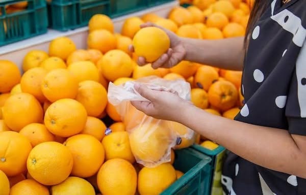 Exporting Fresh Fruits from Sham Fresh 