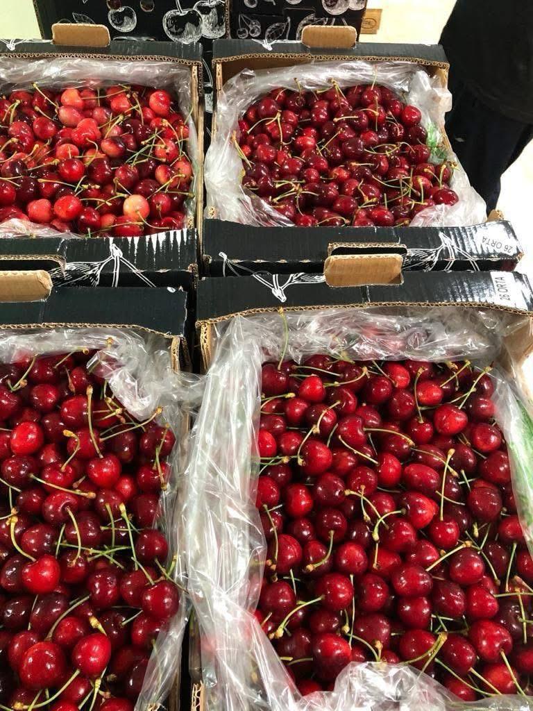 Exporting Fresh Fruits from Sham Fresh 