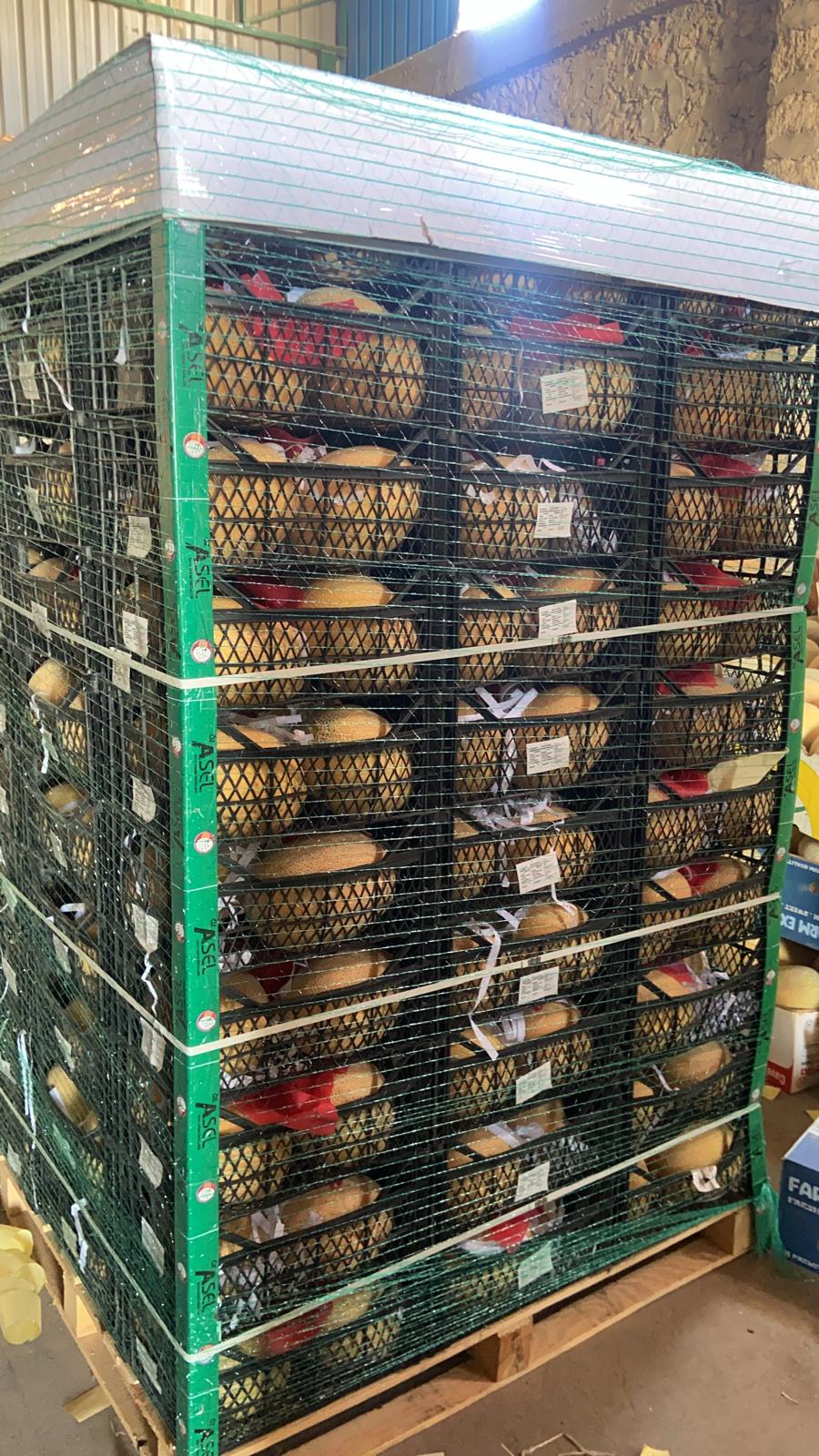 Exporting Fresh Fruits from Sham Fresh 