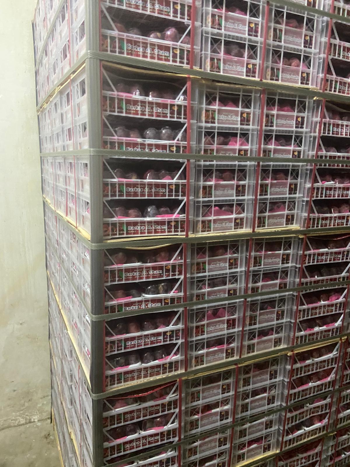 Exporting Fresh Fruits from Sham Fresh 