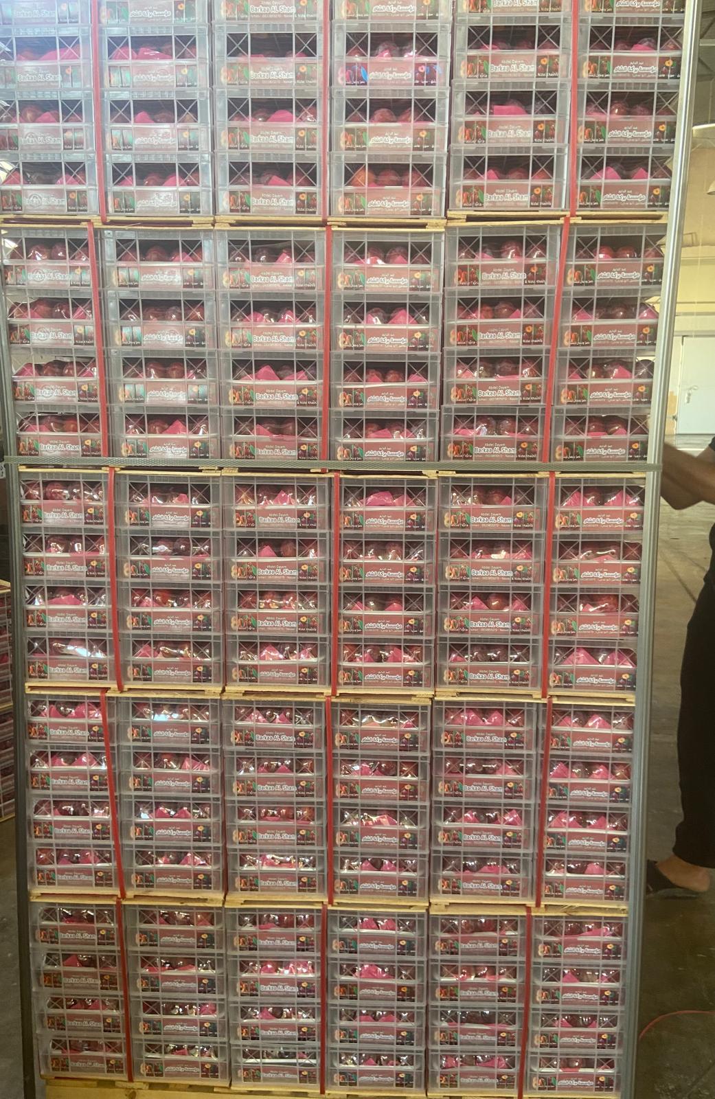 Exporting Fresh Fruits from Sham Fresh 