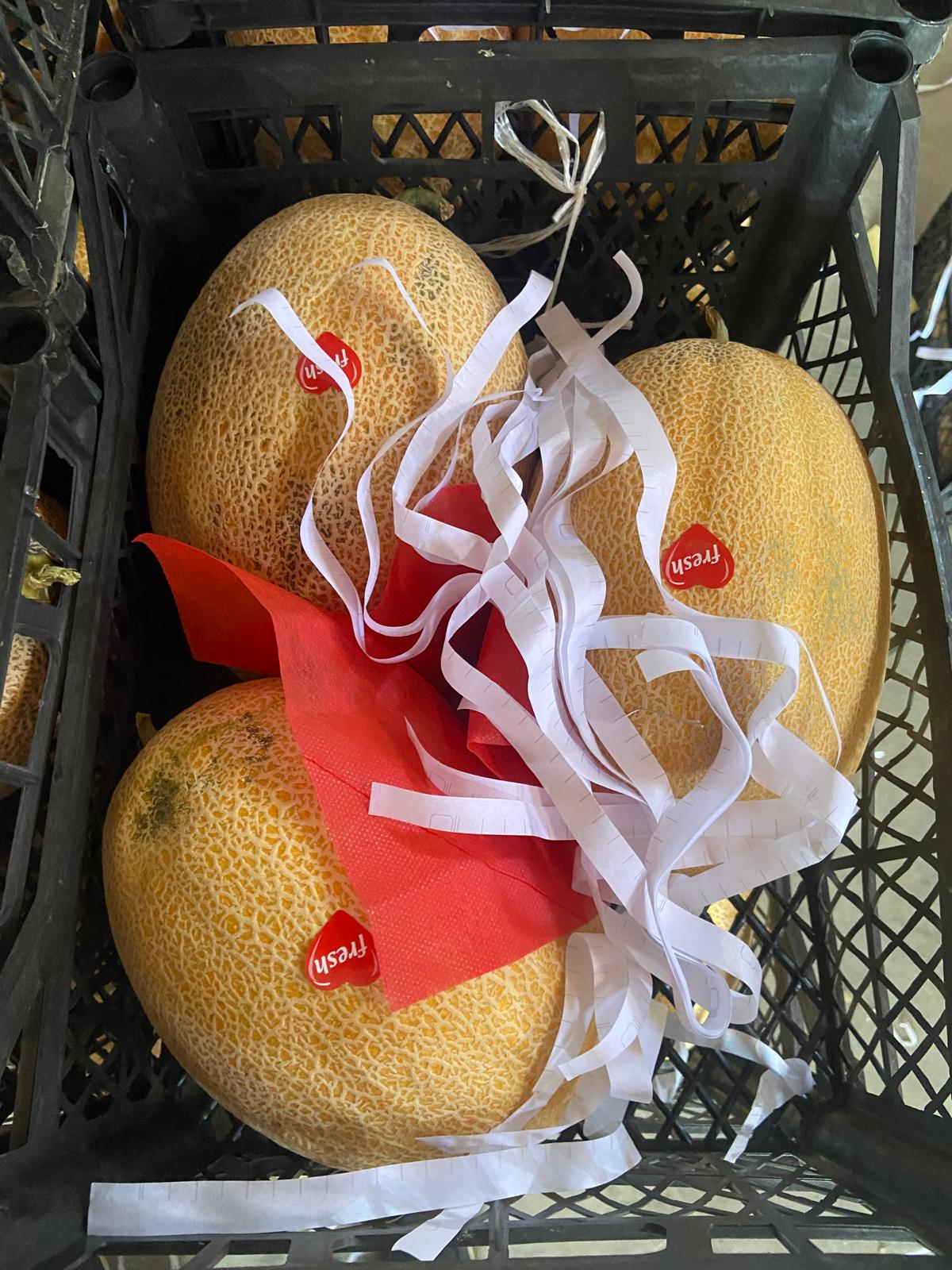 Exporting Fresh Fruits from Sham Fresh 