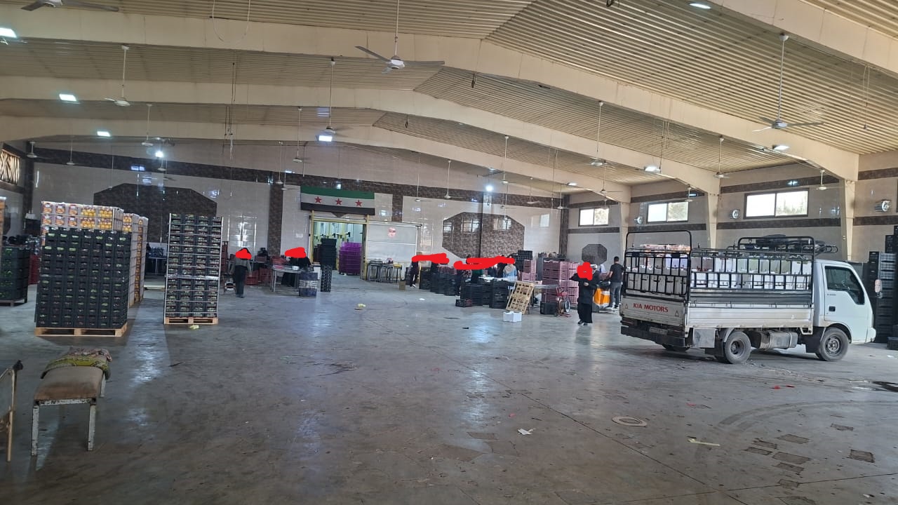 Exporting Fresh Fruits from Sham Fresh 