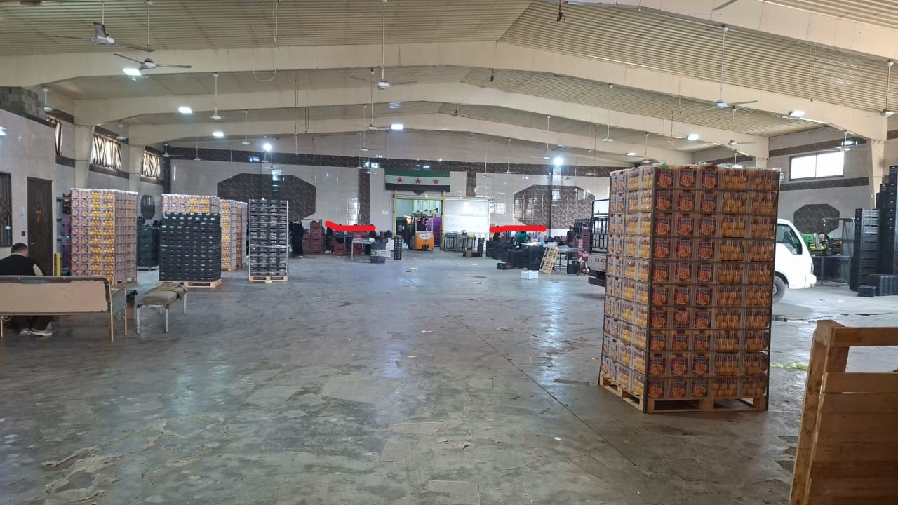 Exporting Fresh Fruits from Sham Fresh 
