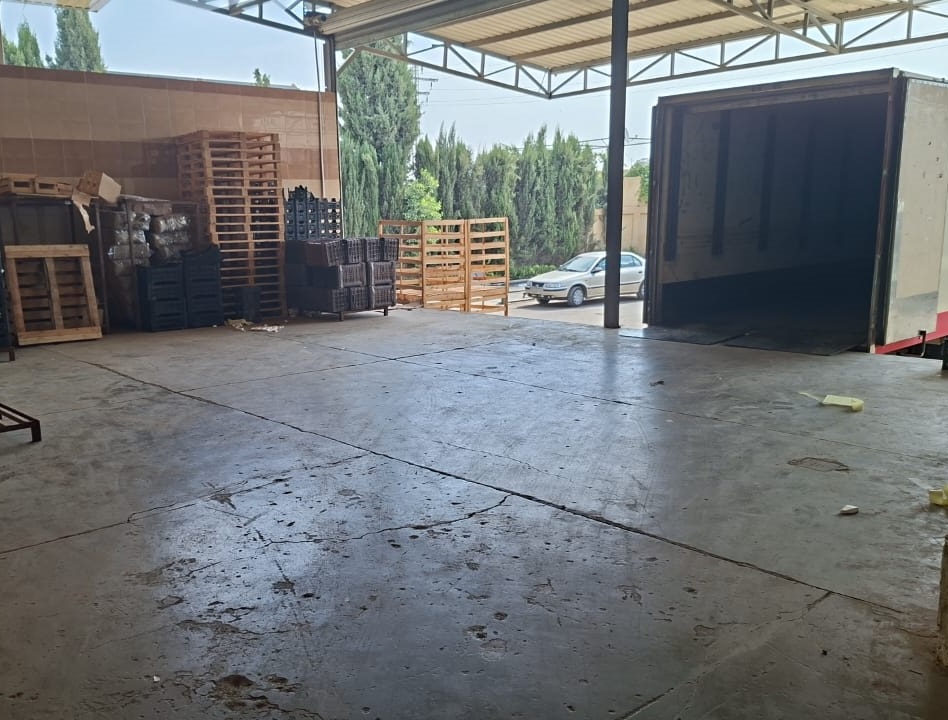 Exporting Fresh Fruits from Sham Fresh 