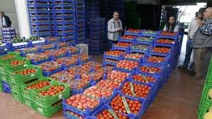 Exporting Fresh Fruits from Sham Fresh 