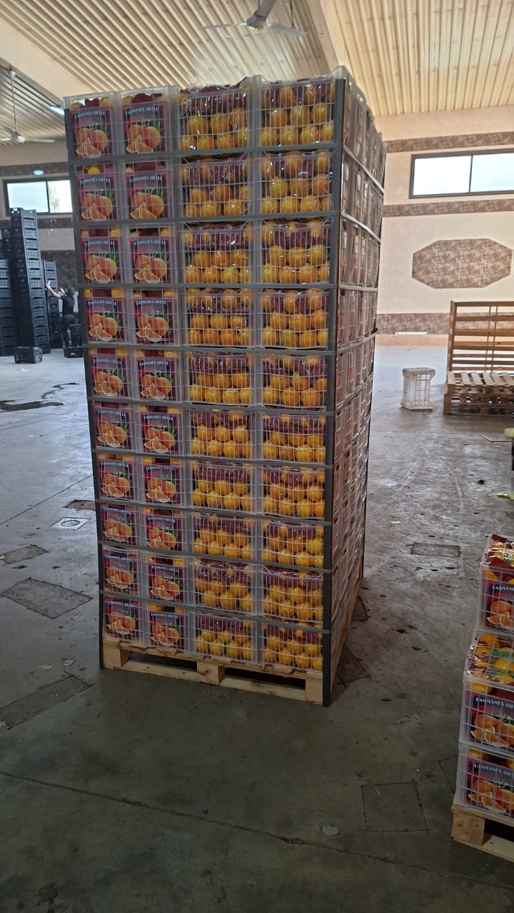 Exporting Fresh Fruits from Sham Fresh 