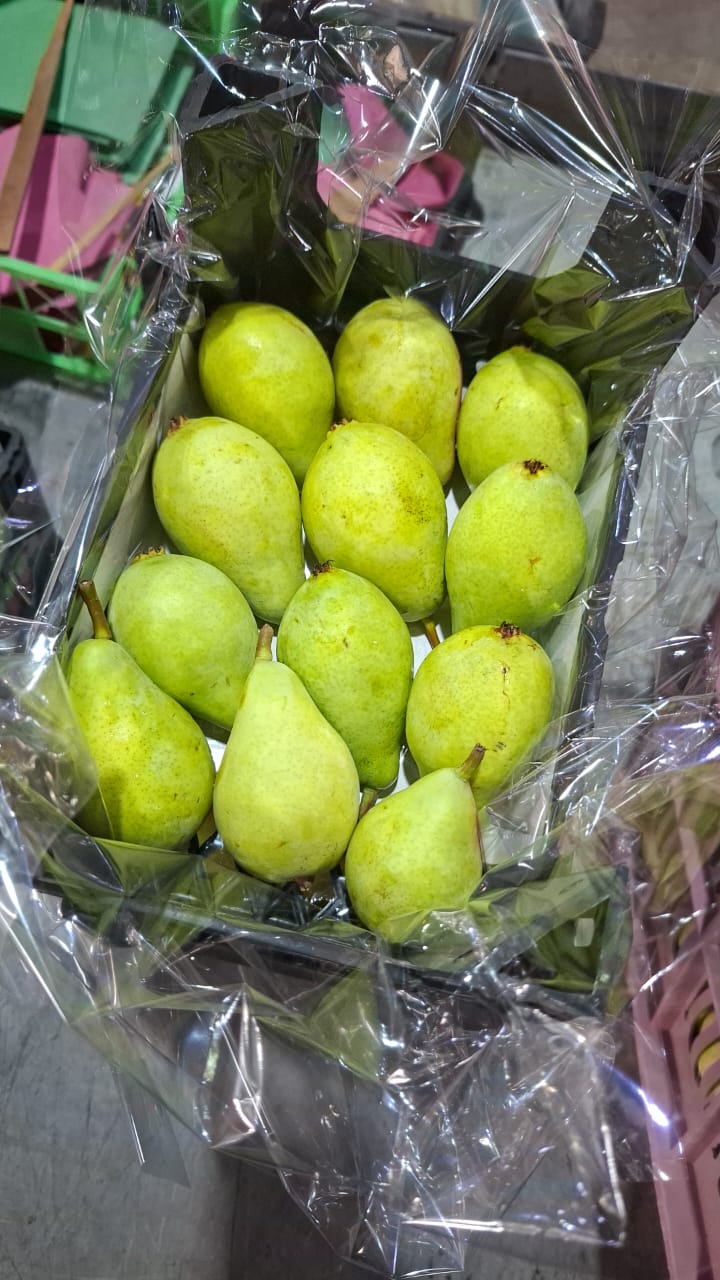 Exporting Fresh Fruits from Sham Fresh 