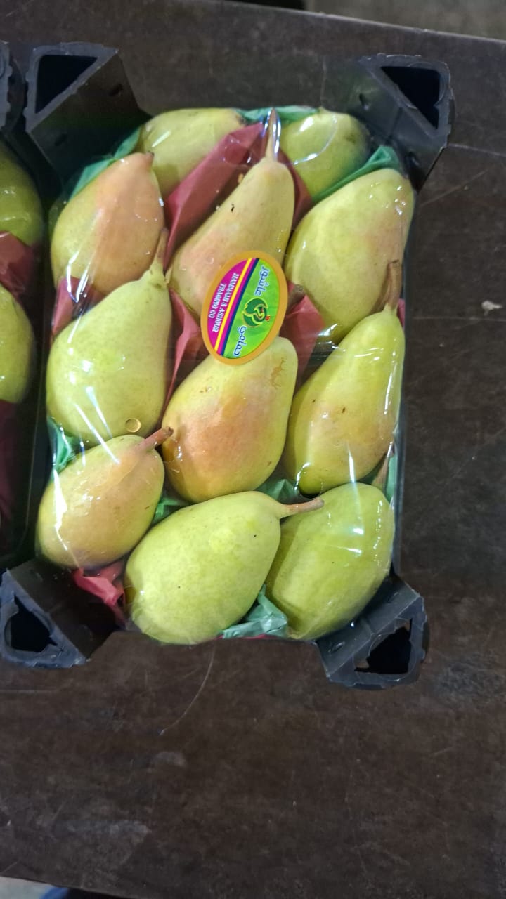 Exporting Fresh Fruits from Sham Fresh 