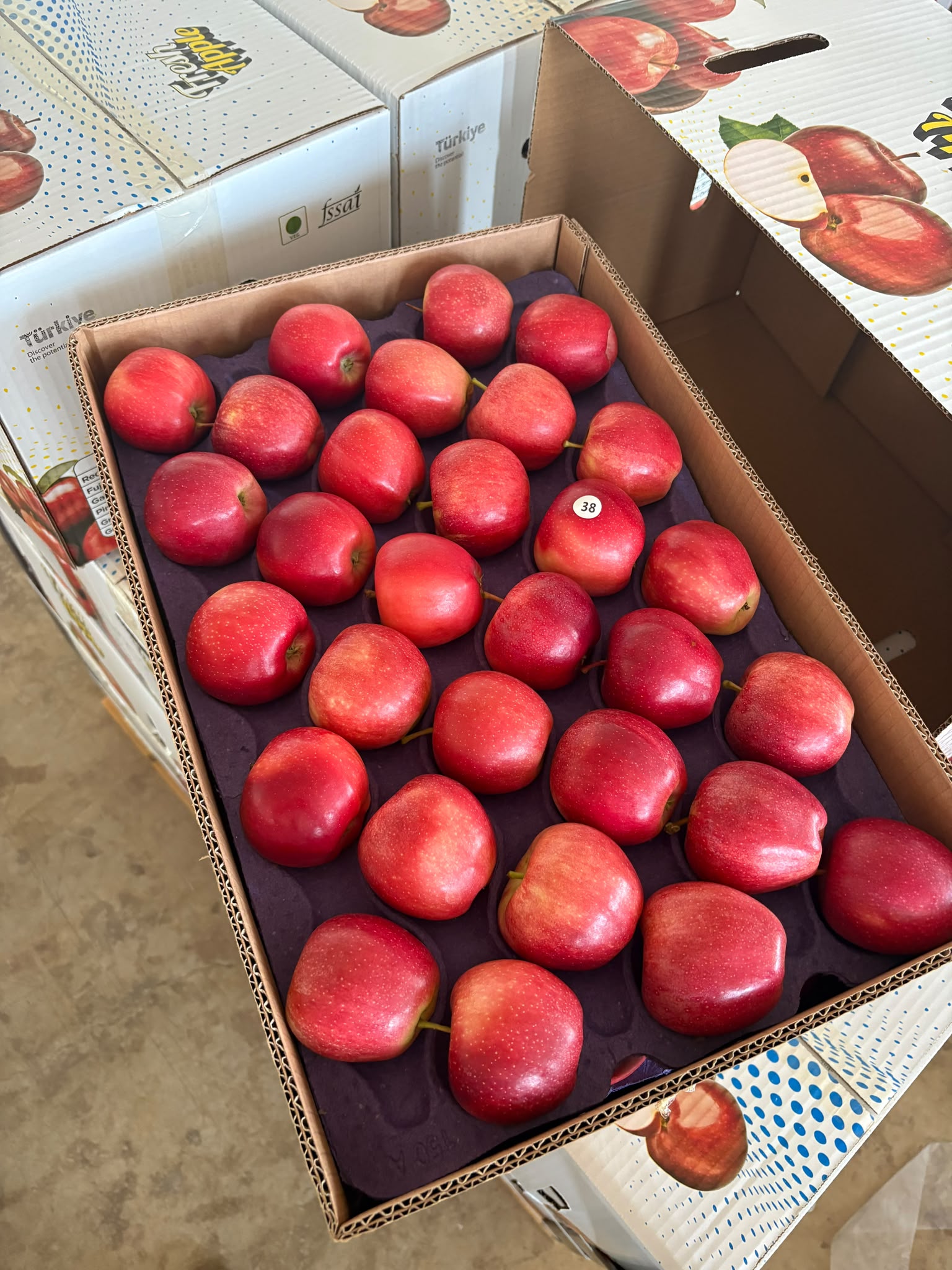 Exporting Fresh Fruits from Sham Fresh 