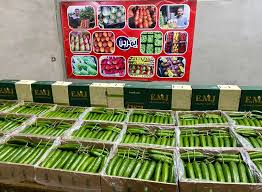 Exporting Fresh Fruits from Sham Fresh 