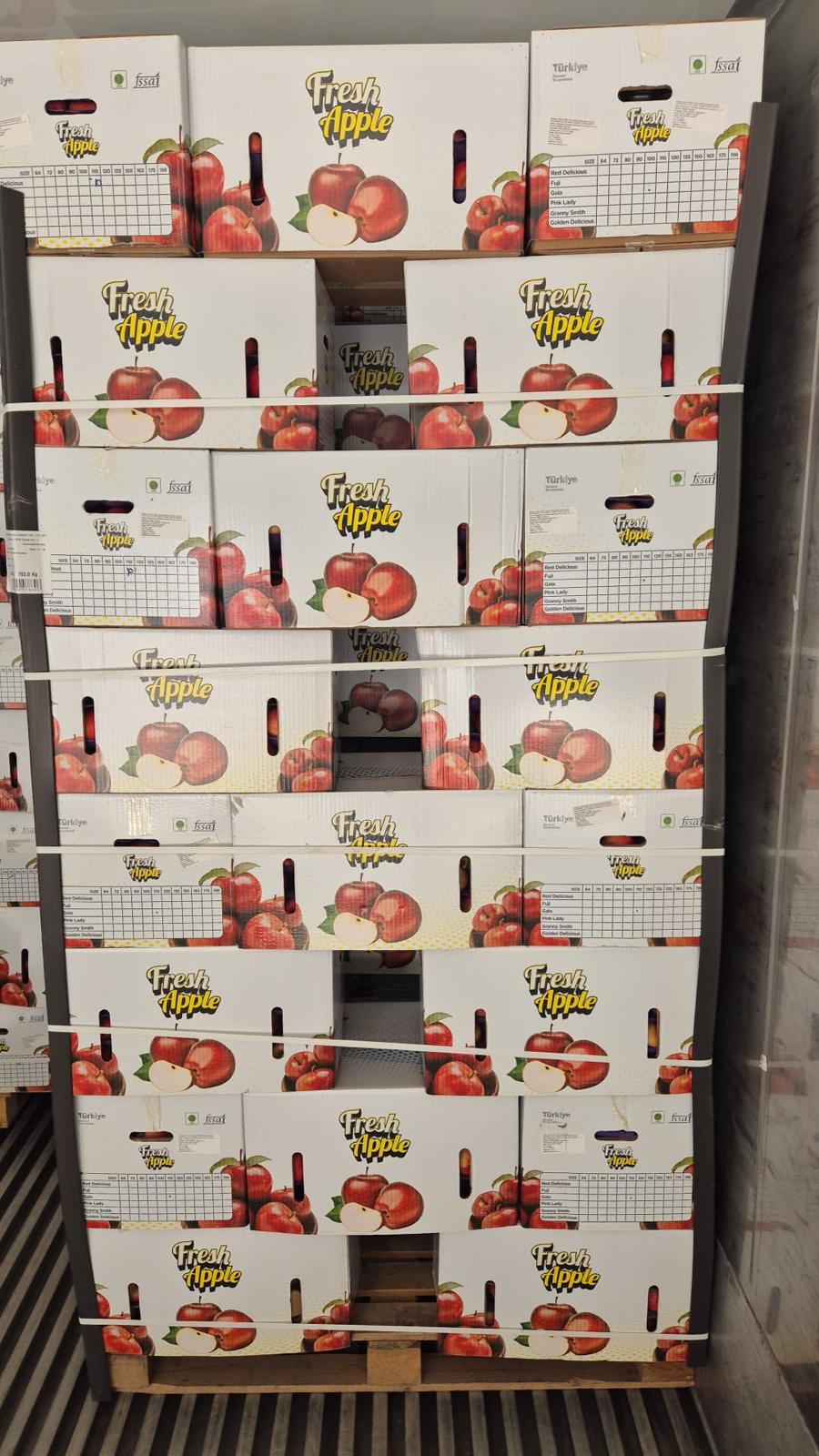 Exporting Fresh Fruits from Sham Fresh 