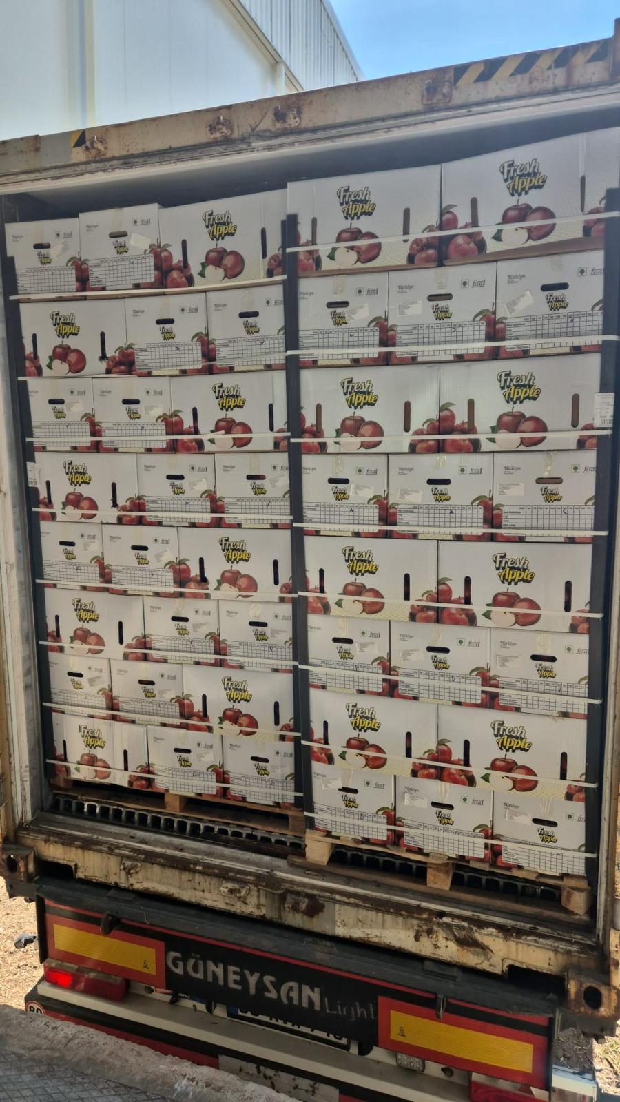 Exporting Fresh Fruits from Sham Fresh 