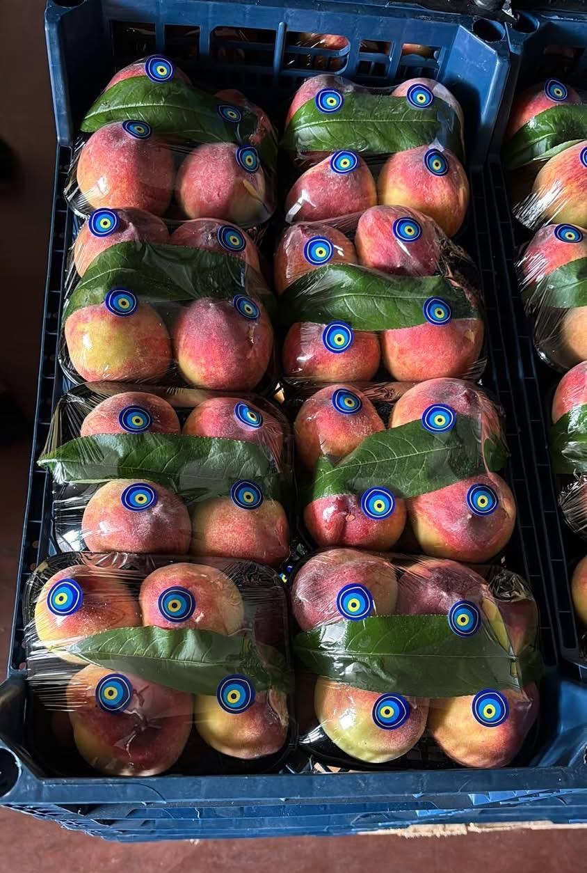 Exporting Fresh Fruits from Sham Fresh 